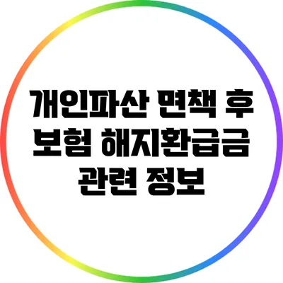 개인파산 면책 후 보험 해지환급금 관련 정보