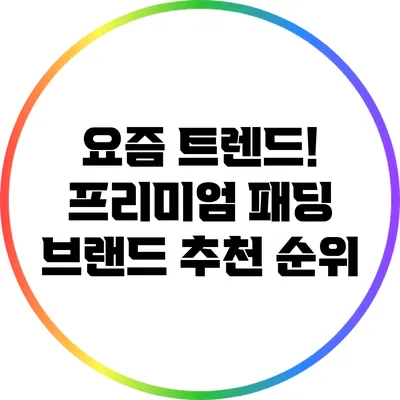 요즘 트렌드! 프리미엄 패딩 브랜드 추천 순위