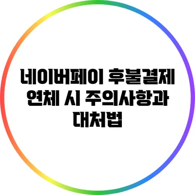 네이버페이 후불결제 연체 시 주의사항과 대처법