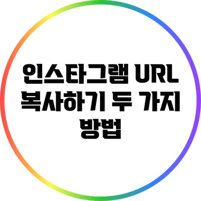 인스타그램 URL 복사하기: 두 가지 방법