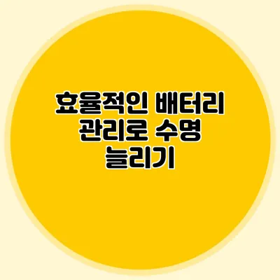 효율적인 배터리 관리로 수명 늘리기