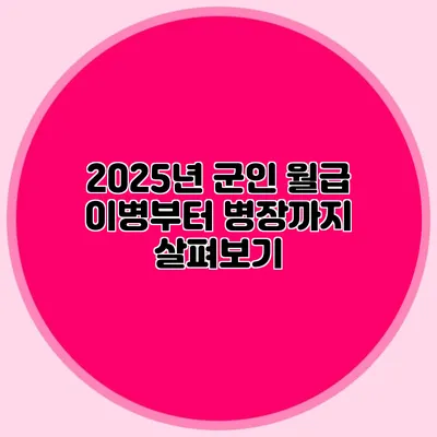 2025년 군인 월급 이병부터 병장까지 살펴보기