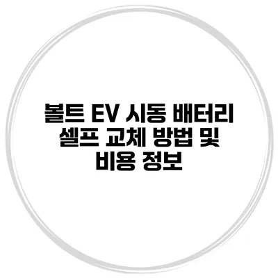 볼트 EV 시동 배터리 셀프 교체 방법 및 비용 정보