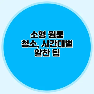 소형 원룸 청소, 시간대별 알찬 팁