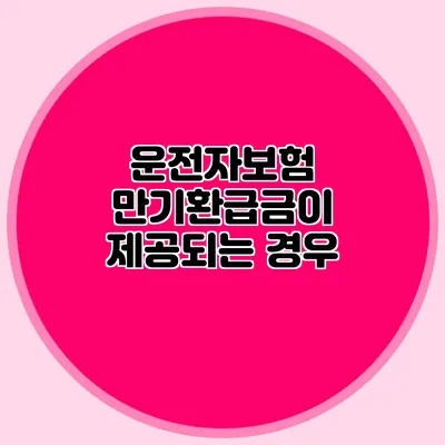 운전자보험 만기환급금이 제공되는 경우
