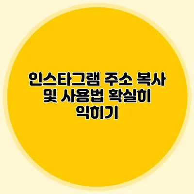 인스타그램 주소 복사 및 사용법 확실히 익히기